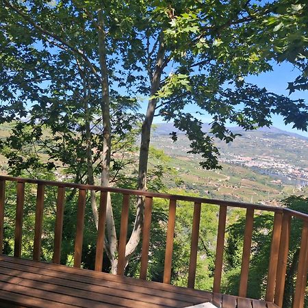 Quinta Do Valdalagea Konuk evi Peso da Régua Dış mekan fotoğraf
