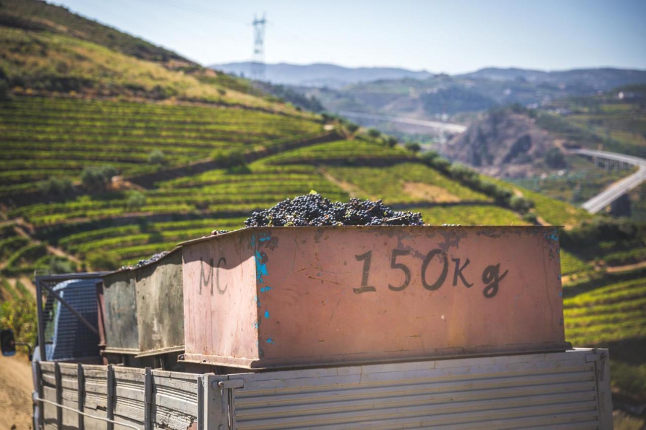 Quinta Do Valdalagea Konuk evi Peso da Régua Dış mekan fotoğraf