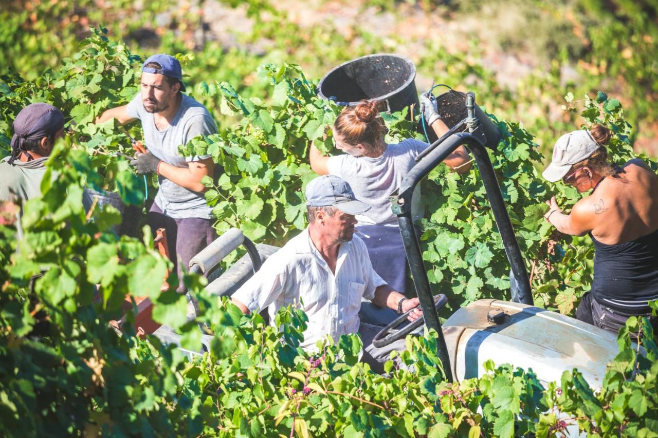 Quinta Do Valdalagea Konuk evi Peso da Régua Dış mekan fotoğraf