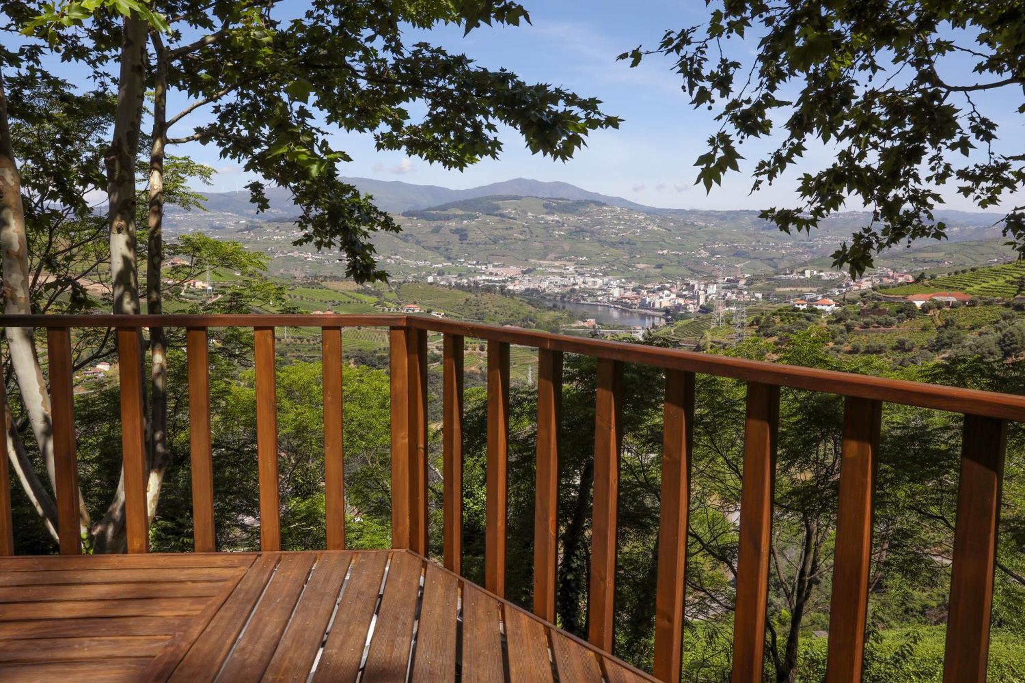 Quinta Do Valdalagea Konuk evi Peso da Régua Dış mekan fotoğraf