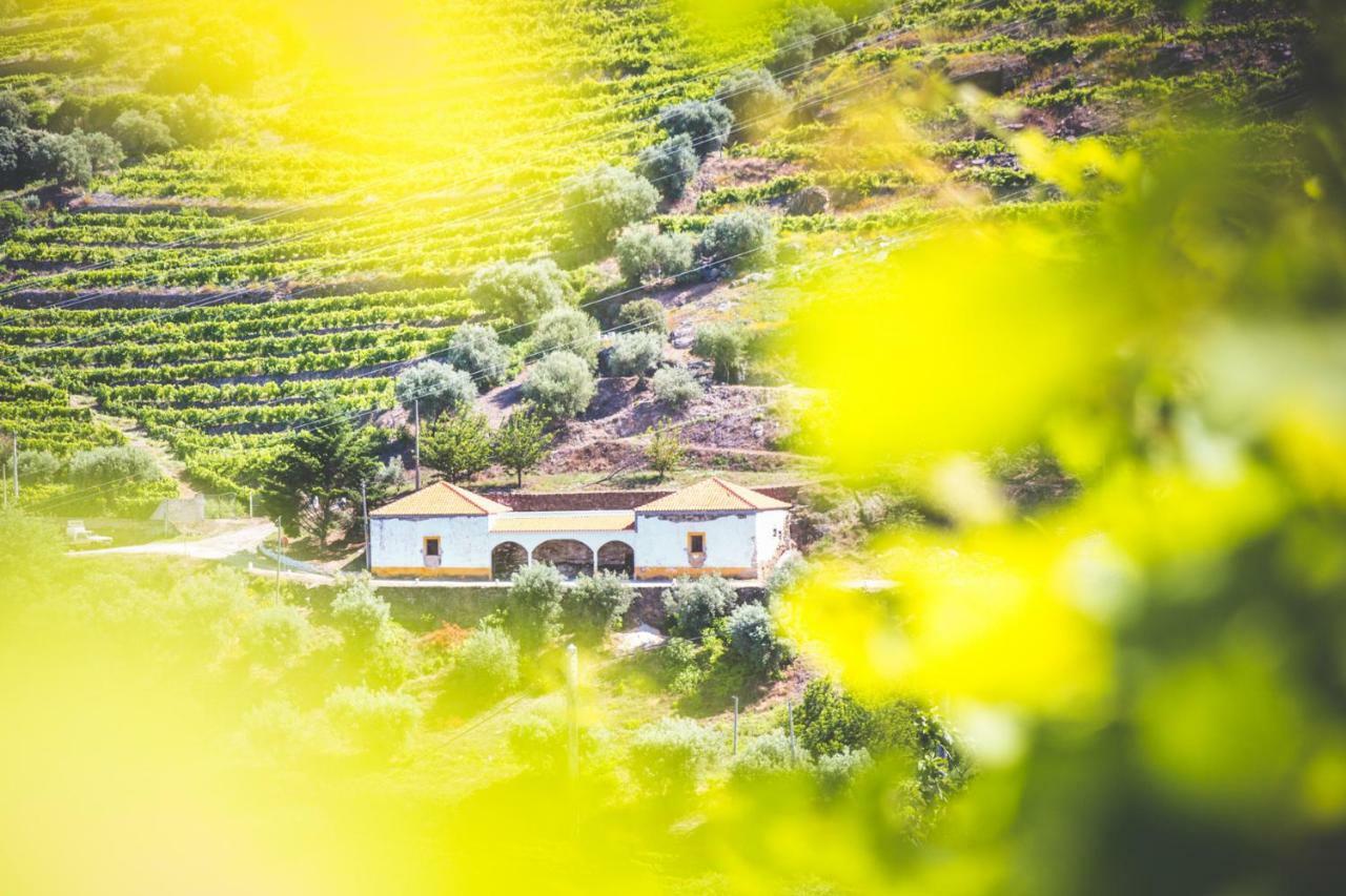 Quinta Do Valdalagea Konuk evi Peso da Régua Dış mekan fotoğraf