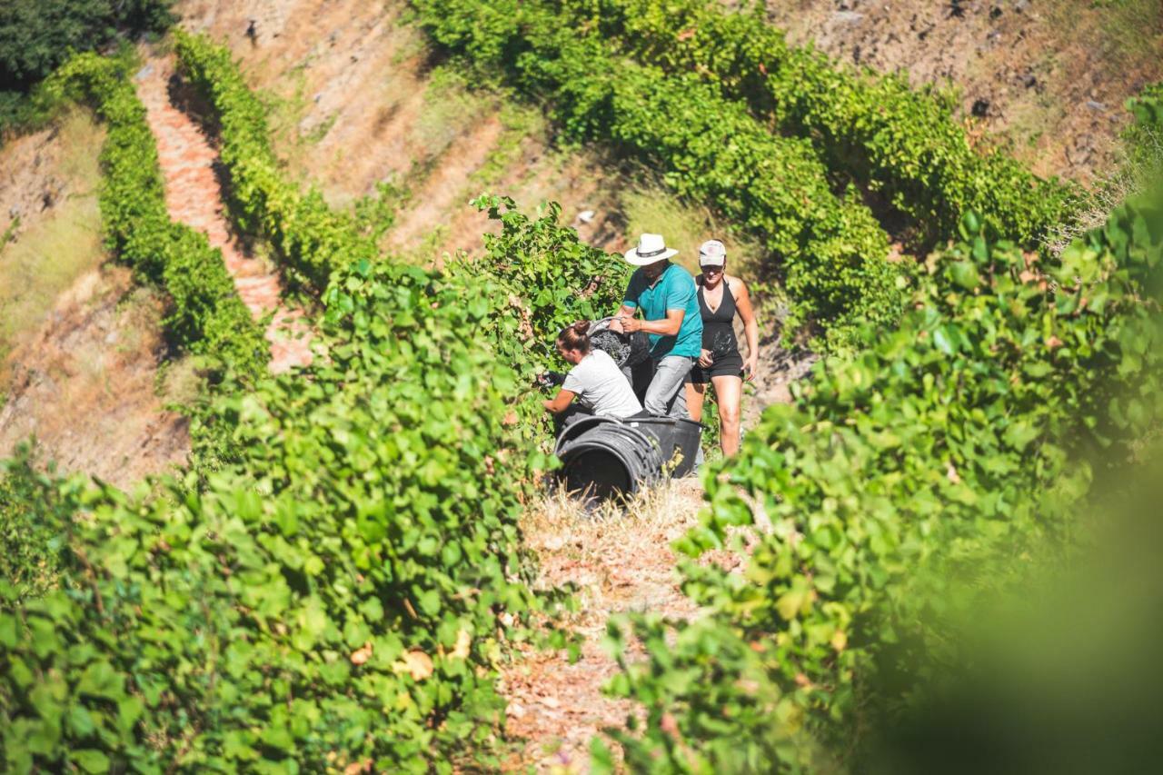 Quinta Do Valdalagea Konuk evi Peso da Régua Dış mekan fotoğraf