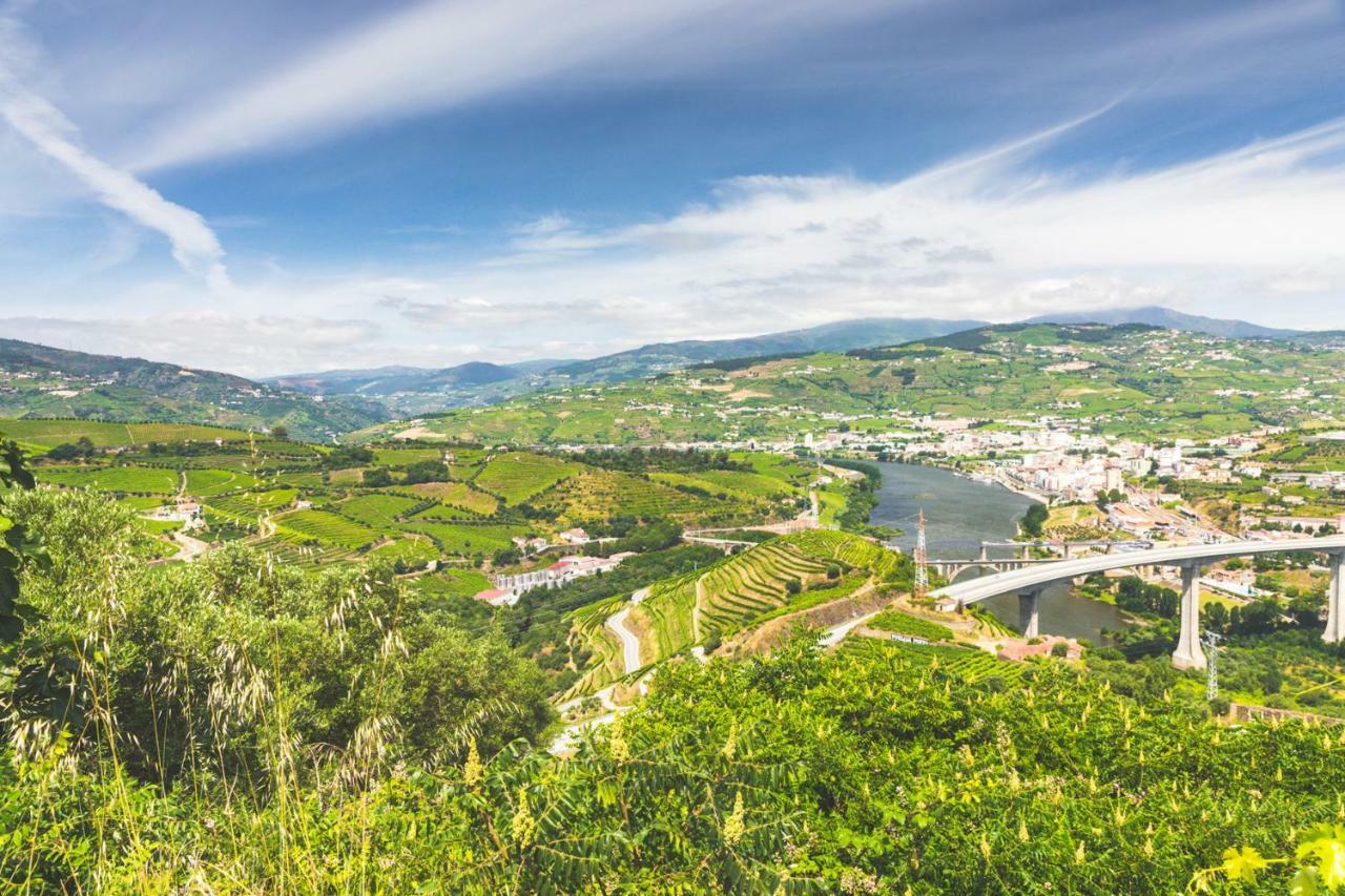 Quinta Do Valdalagea Konuk evi Peso da Régua Dış mekan fotoğraf