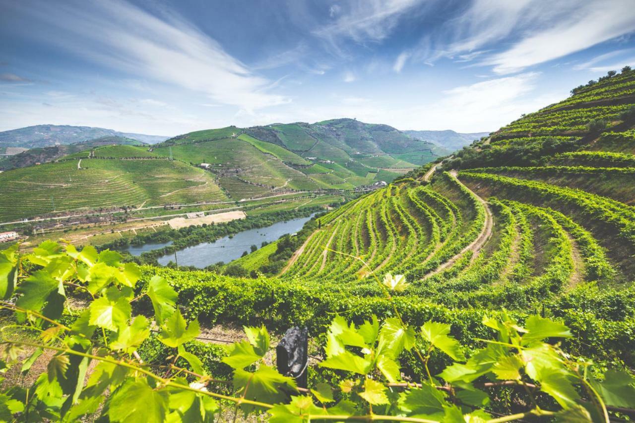 Quinta Do Valdalagea Konuk evi Peso da Régua Dış mekan fotoğraf