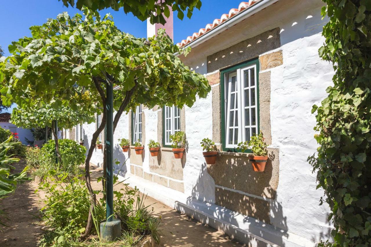 Quinta Do Valdalagea Konuk evi Peso da Régua Dış mekan fotoğraf