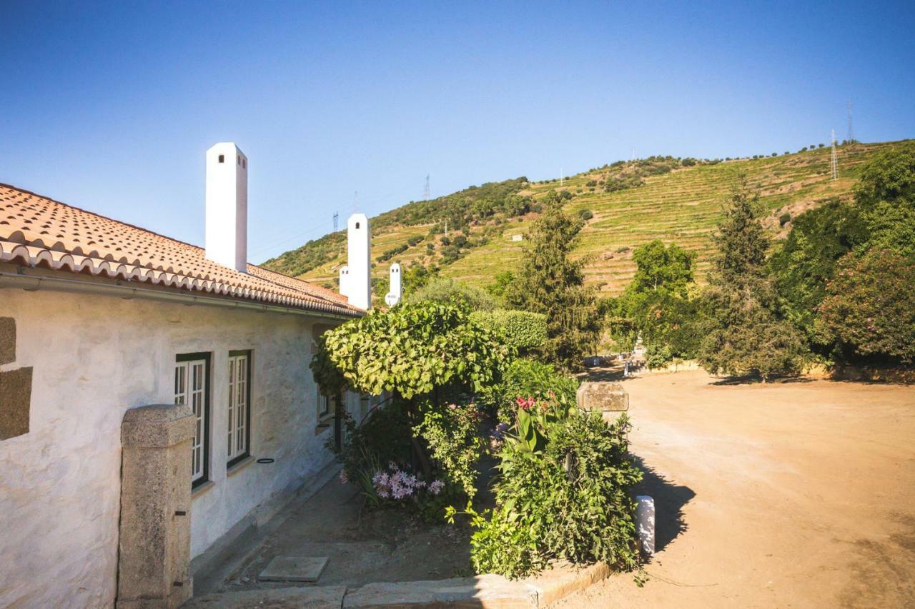 Quinta Do Valdalagea Konuk evi Peso da Régua Dış mekan fotoğraf